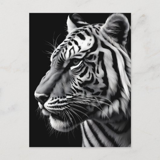 Tigerportrait Postkarte (Vorderseite)