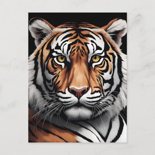 Tigerportrait Postkarte (Vorderseite)