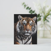 Tigerportrait Postkarte (Stehend Vorderseite)