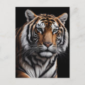 Tigerportrait Postkarte (Vorderseite)