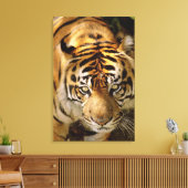 Tigerporträt Leinwanddruck (Insitu (Wohnzimmer))
