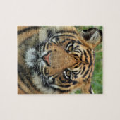 Tigerpuzzle Puzzle (Horizontal)