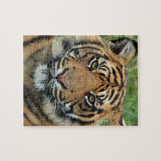 Tigerpuzzle Puzzle (Horizontal)
