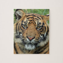 Tigerpuzzle