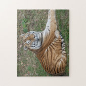 Tigerpuzzle Puzzle (Vertikal)