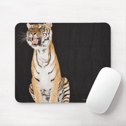 Tigerrost Mousepad (Mit Mouse)