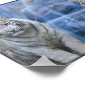 Tigerrückzug Poster (Ecke)