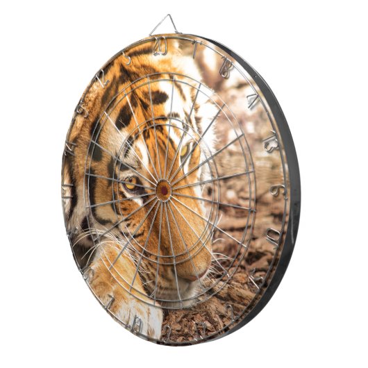 Tigerruhe Dartscheibe (Vorderseite rechts)