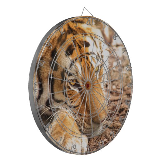 Tigerruhe Dartscheibe (Vorderseite Links)