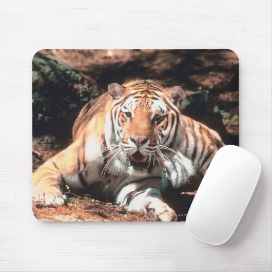 Tigerruhe Mousepad (Mit Mouse)