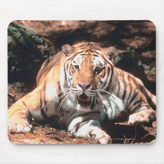 Tigerruhe Mousepad (Vorne)