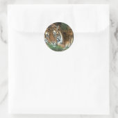 Tigerrutschkopf auf Nebel Runder Aufkleber (Tasche)