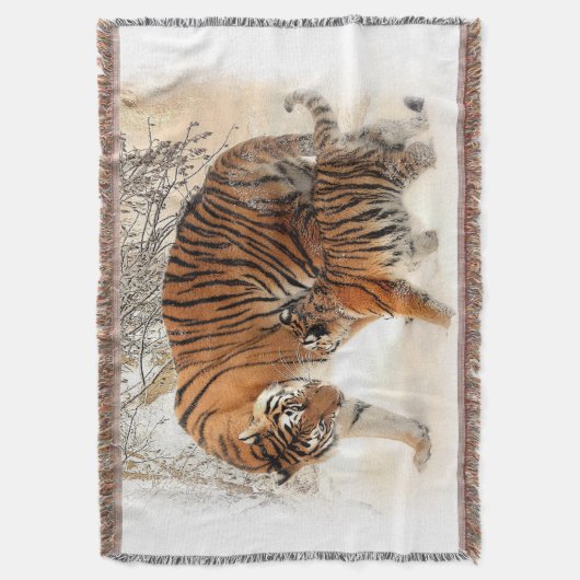 Tigers 2A Schubdecke Decke (Vorderseite Vertikal)