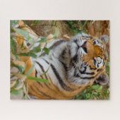 Tigers Big Cats. Puzzle (Horizontal)