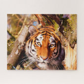 Tigers Big Cats. Puzzle (Horizontal)