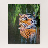 Tigers Big Cats. Puzzle (Vertikal)