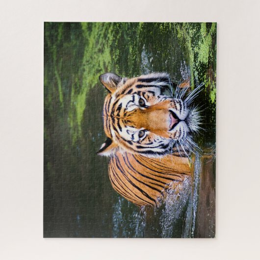 Tigers Big Cats. Puzzle (Vertikal)