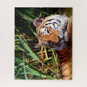 Tigers Big Cats. Puzzle (Vertikal)