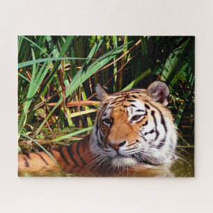 Tigers Big Cats. Puzzle