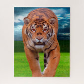 Tigers Big Cats. Puzzle (Vertikal)