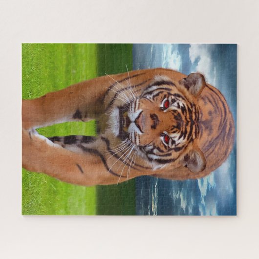 Tigers Big Cats. Puzzle (Horizontal)