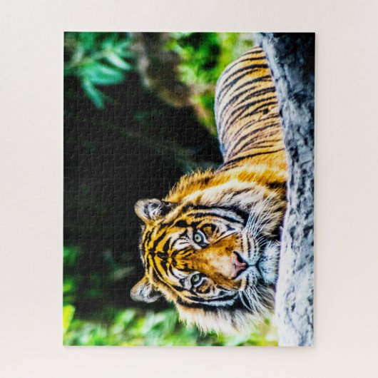 Tigers Big Cats. Puzzle (Vertikal)