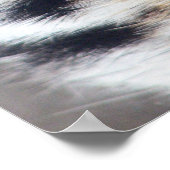 Tigers Eye Foto Poster (Ecke)