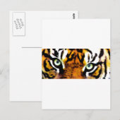 TIGER'S EYE POSTKARTE (Vorne/Hinten)