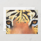 Tigers Eyes Postkarte (Vorne/Hinten)