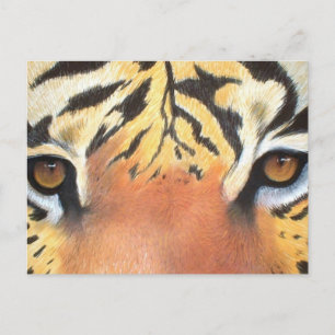 Tigers Eyes Postkarte