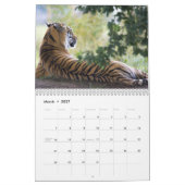 Tigers Fotografien 12 Monate Kalender (Mär 2027)