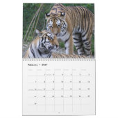 Tigers Fotografien 12 Monate Kalender (Feb 2027)