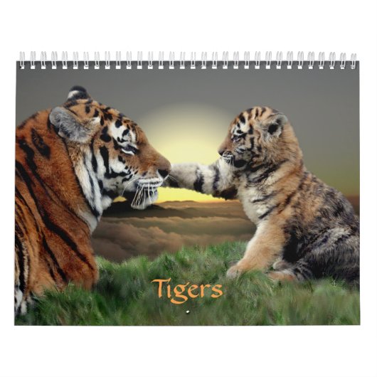 Tigers Kalender (Titelbild)