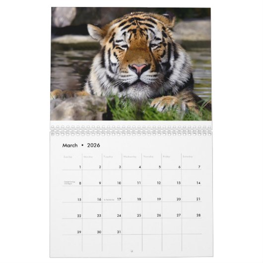 Tigers Kalender (Mär 2026)