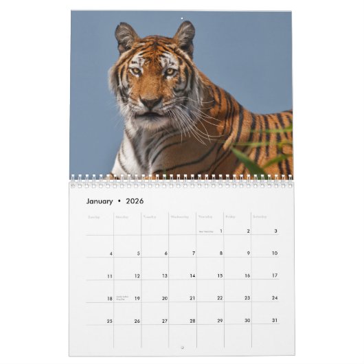 Tigers Kalender (Jan 2026)
