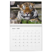 Tigers Kalender (Mär 2027)