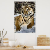 Tigers Lovers Art Poster (Küche)
