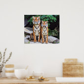 Tigers, male and female, poster (Küche)