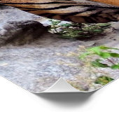 Tigers, male and female, poster (Ecke)