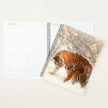 Tigers Planer<br><div class="desc">Mama und Cub TigerEs ist Zeit sich zu organisieren! Plane deine Tage mit Stil und der Hilfe dieses gestaltbaren Planners. Perfekt geeignet für deinen stressigen Alltag,  dieser Planner bietet Platz für die Planung deiner Monate,  Wochen und für wichtige Notizen!</div>