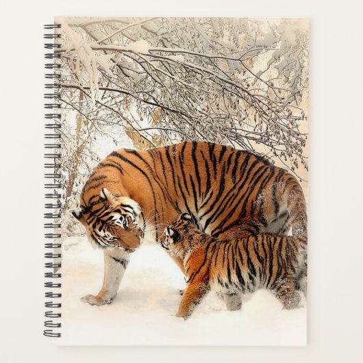 Tigers Planer (Vorderseite)