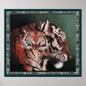 Tigers Poster (Vorne)