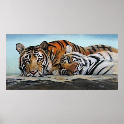 Tigers Poster (Vorne)