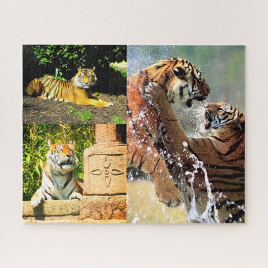 Tigers Puzzle (Horizontal)