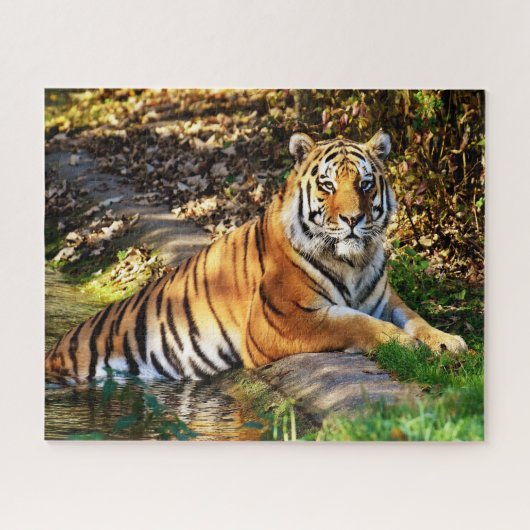 Tigers sind große Katzen. Puzzle (Horizontal)