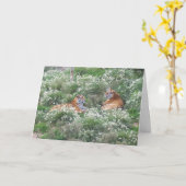 Tigers Step Son Birthday Karte (Gelbe Blume)