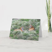 Tigers Step Son Birthday Karte (Vorderseite)