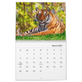 Tigers Wall Calendar Kalender (Mär 2027)