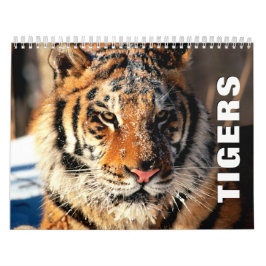 Tigers Wall Calendar Kalender