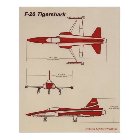 Tigershark F20 Poster (Vorderseite)